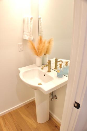 a bathroom with a white sink and a mirror at Minutes to Rock City, Ruby Falls, & Downtown in Chattanooga