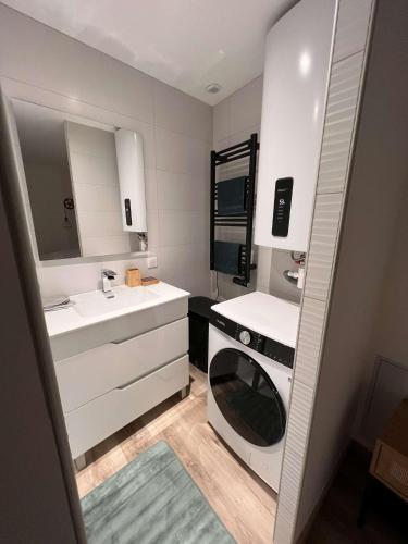 ein Badezimmer mit einem Waschbecken und einer Waschmaschine in der Unterkunft Appartement Cosy Gîte Le Marmont in Châtillon-sur-Seine