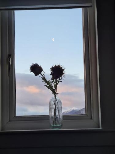 a vase with flowers sitting in a window at Fort William loft on shore front with amazing views in Caol