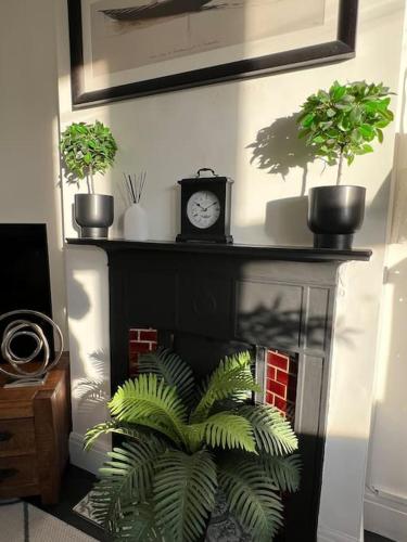 a shelf with potted plants and a clock on it at Hill Grove 2 Bedroom Apartment in Leigh-on-Sea