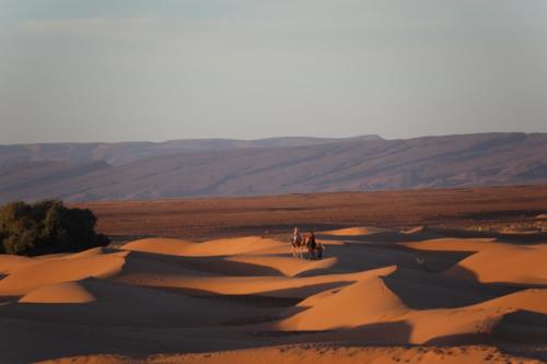 a group of people riding horses through the desert at Majorelle Desert Camp in Zagora