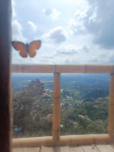 - une vue depuis une fenêtre avec un papillon dans l'établissement Lindo mirador del oriente Antioqueño, à Guarne