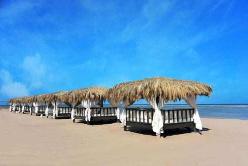 une rangée de parasols en paille sur une plage dans l'établissement Steigenberger Alcazar, à Charm el-Cheikh