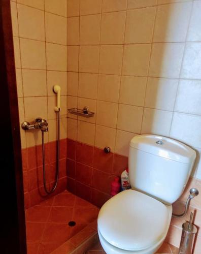 a bathroom with a toilet and a shower at Comfortable Apoikia house for 2 in Apoíkia
