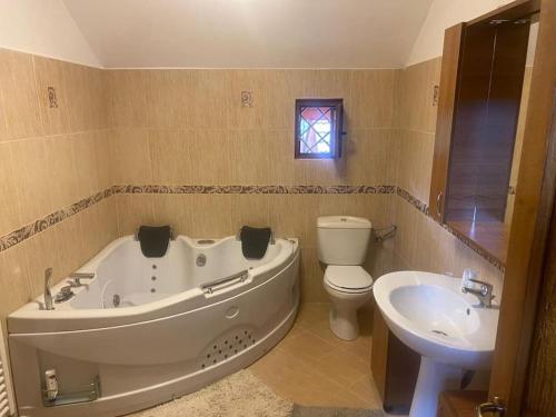 a bathroom with a tub and a toilet and a sink at Amazing villa in the mountains with Jacuzzi in Vistisoara