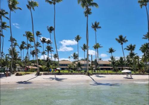 a view of a beach with palm trees at Apartamento em Carneiros à beira- mar - Ao lado da igrejinha dos carneiros e do bora-bora in Tamandaré