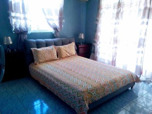1 dormitorio con cama con almohadas y cortinas en come and enjoy singing birds, en Calibishie