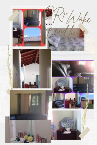 a collage of pictures of a room with a bed at D'RESORT WAKE UP AND LIVE YAH in Spanish Town