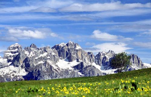a mountain range with a green field and yellow flowers at Casetta next to the Creek Dino Buzzati in Belluno