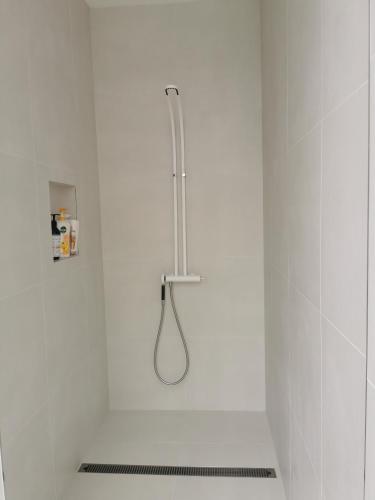 a shower in a white bathroom with a shower head at Luxury Harbour view in Dunedin