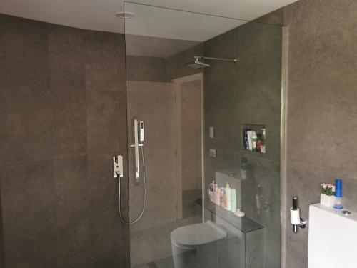 a bathroom with a shower with a glass door at Luxury Harbour view in Dunedin