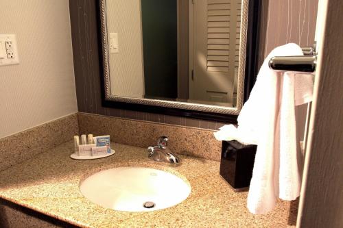 a bathroom with a sink and a mirror at Courtyard Atlanta Northlake in Atlanta