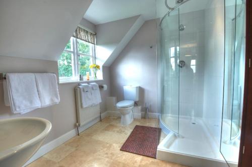 a bathroom with a shower and a toilet and a sink at Sunset House Bed and Breakfast in East Harling