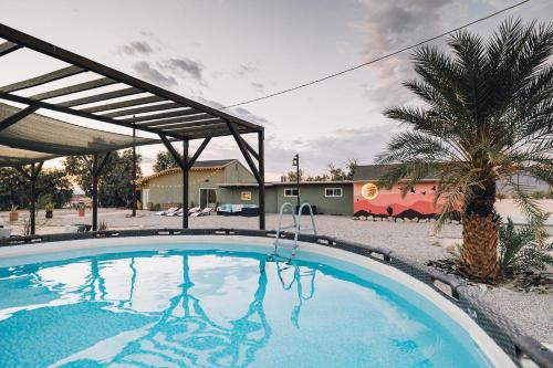 una piscina en un patio con una palmera en Astroturism - 5 acres fenced - Pool & Jacuzzi - Pet friendly, en Twentynine Palms