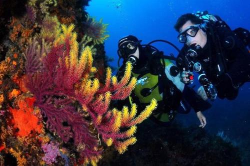 a man is taking a picture of a coral reef at "Belvédère de la Mer" Résidence "Icaros" Wifi-Piscine-Pkg in Begur