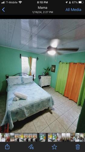 1 dormitorio con 1 cama grande en una tienda de campaña en Tropical Gavilla, 