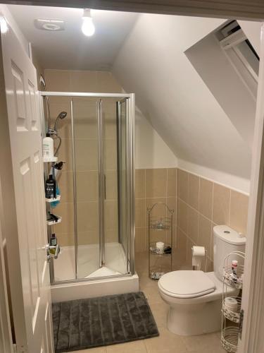 een badkamer met een douche en een toilet bij Beanie’s North Swindon DoubleBed in Blunsdon Saint Andrew