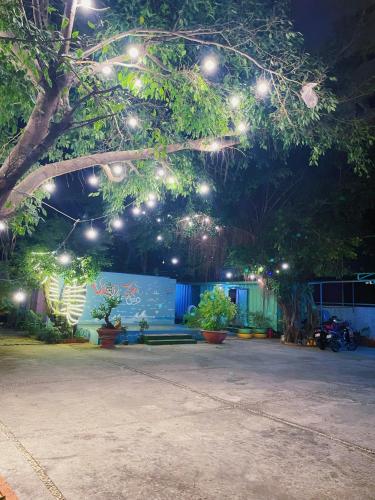 ein Park mit Lichtern, die nachts von einem Baum hängen in der Unterkunft Thùng Thép Homestay in Vũng Tàu