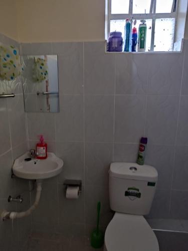 a bathroom with a toilet and a sink at Elim apartment in Kitengela 