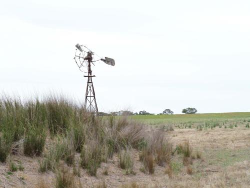 a windmill in the middle of a field at Shawwood Estate in Mudgee