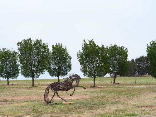 a statue of a horse running in a field at Shawwood Estate in Mudgee
