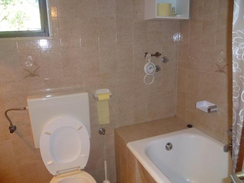 a bathroom with a white toilet and a bath tub at Pine Wood Oasis Apartments in Bol