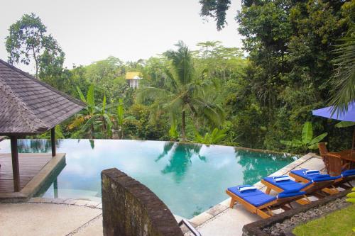 einen Pool mit blauen Stühlen und Bäumen in der Unterkunft The Ikat Villa in Ubud