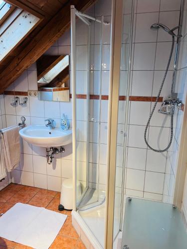 La salle de bains est pourvue d'une douche et d'un lavabo. dans l'établissement Pension Schönhuber, à Mainburg