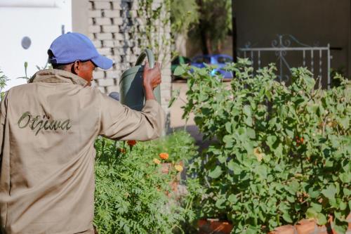 a man standing in a garden looking at a plant at Otjiwa Safari Lodge in Otjiwarongo