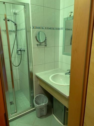 y baño con ducha, lavabo y espejo. en Biohaus Florian, en Haus im Ennstal