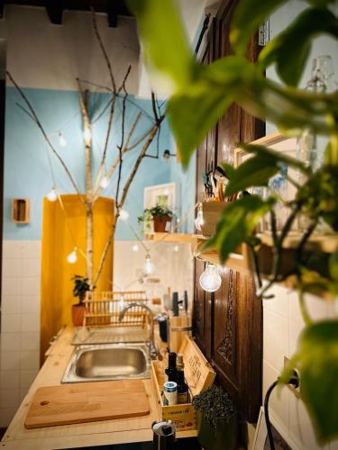 Η κουζίνα ή μικρή κουζίνα στο WOW HOUSE in Torino