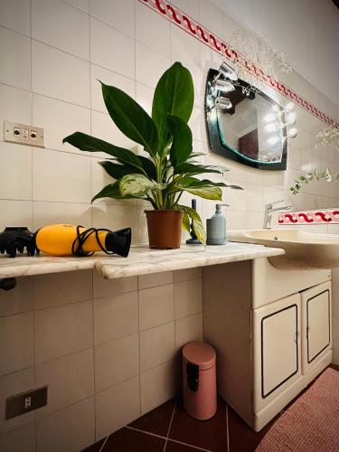 Η κουζίνα ή μικρή κουζίνα στο WOW HOUSE in Torino