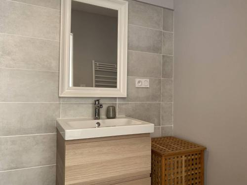 une salle de bain avec un lavabo et un miroir dans l'établissement 311 - Maison récente à quelques pas de la magnifique plage de l'Anse du Croc, à Fréhel