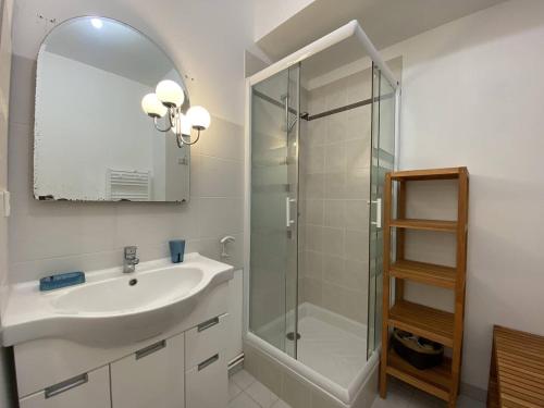 a bathroom with a sink and a shower at 359 - Appartement T3, à deux pas de la plage l'Anse du Croc et de sa vue sur le Cap Fréhel in Fréhel