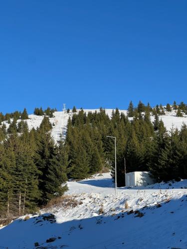 una luz de la calle en la nieve con árboles en Studio M, en Kopaonik