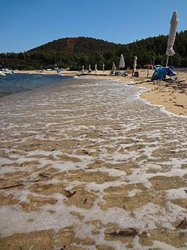 a beach with lots of footprints in the sand at Greek White House in Toroni