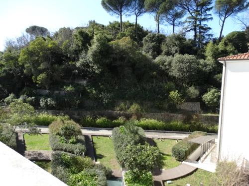 a view of a garden with trees and bushes at Hotel Il Cantico St. Peter in Rome