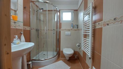 a bathroom with a shower and a toilet and a sink at Apartmány U Potoka in Dolní Moravice