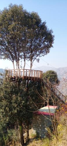 a wooden bridge sitting on top of a tree at Ihram Hotel And Guest House in Swat