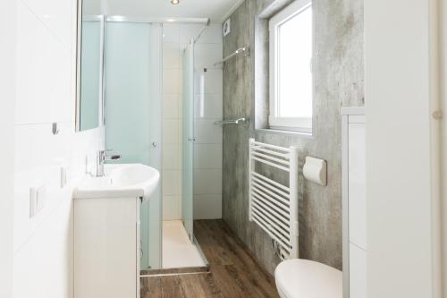 een badkamer met een toilet, een wastafel en een douche bij Park Berkenrhode in Wekerom