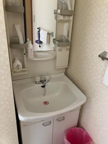 a bathroom with a sink and a mirror at LiVEMAX RESORT Shiretoko Sea Front in Rausu