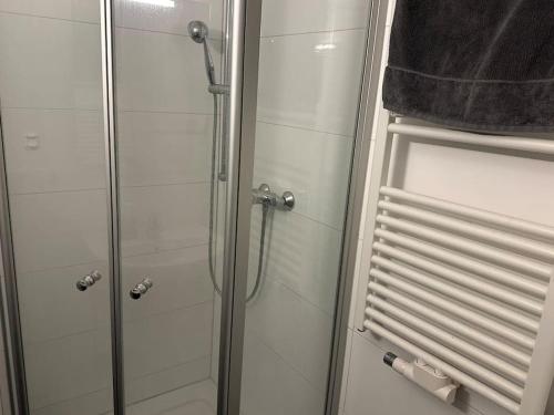 een badkamer met een douche en een glazen deur bij 2-Zimmer Wohnung mit Gym/Office in Frankfurt am Main