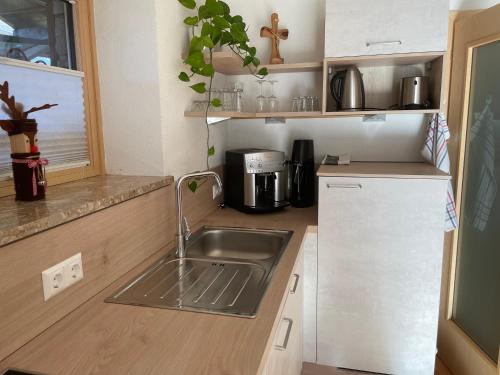 a small kitchen with a sink and a refrigerator at Bio-Bauernhof Auernig in Obervellach