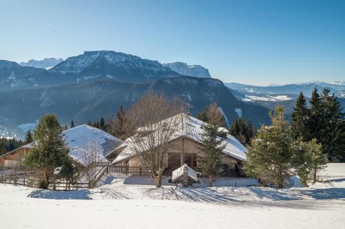 a house in the snow with mountains in the background at Funtnatsch Apartment Langkofel in Laion