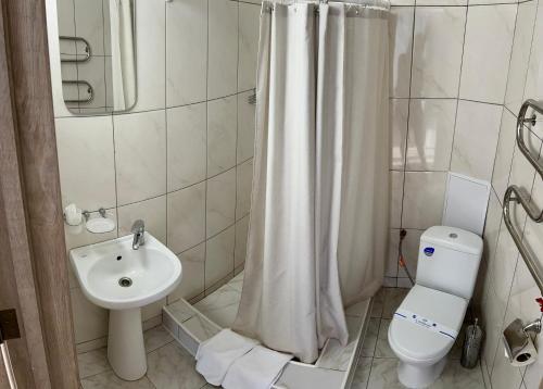 a bathroom with a shower curtain and a toilet and a sink at Prykarpattya in Ivano-Frankivsʼk