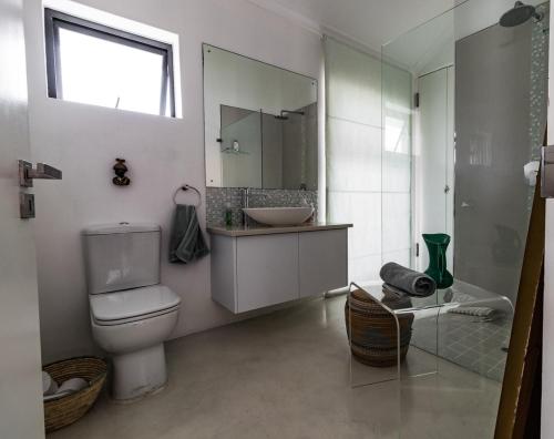 a bathroom with a toilet and a sink and a mirror at Leisure Isle 2 bedroom home with essential power. in Knysna