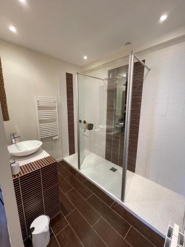 La salle de bains est pourvue d'une douche et d'un lavabo. dans l'établissement Loft de charme en centre-ville, à Pau