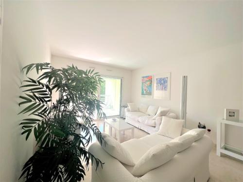 un salon avec un canapé blanc et une plante dans l'établissement Ambre d' Or apartment by Welcome to Cannes, à Cannes