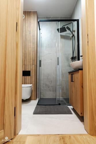 a bathroom with a shower and a toilet and a sink at Zarębisko - noclegi całoroczne in Zwierzyniec