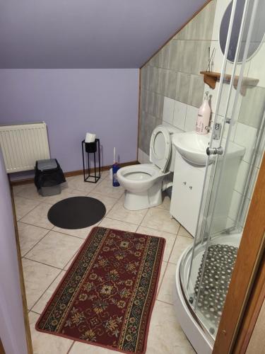 a bathroom with a toilet and a glass shower at Agroturystyka Świerki in Lubawka